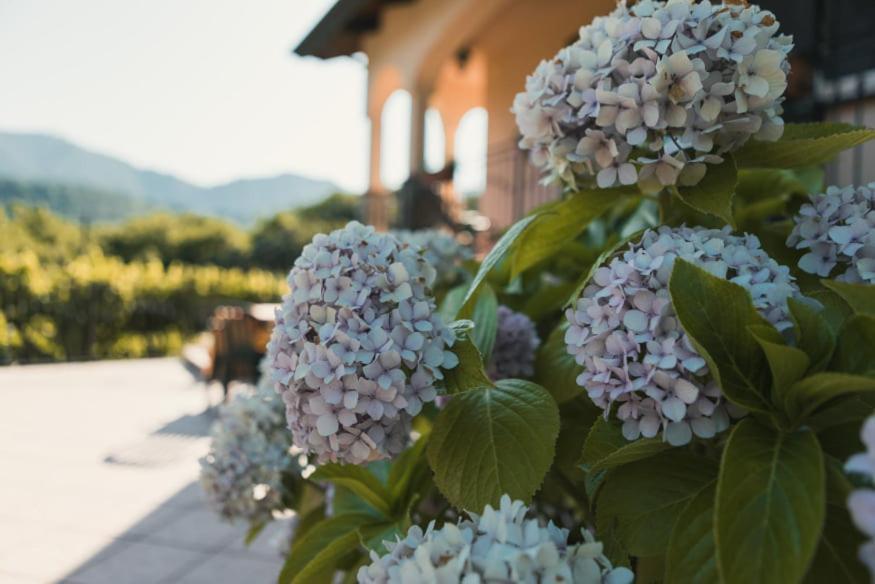 Il Frescale Country House Tramonti Bagian luar foto